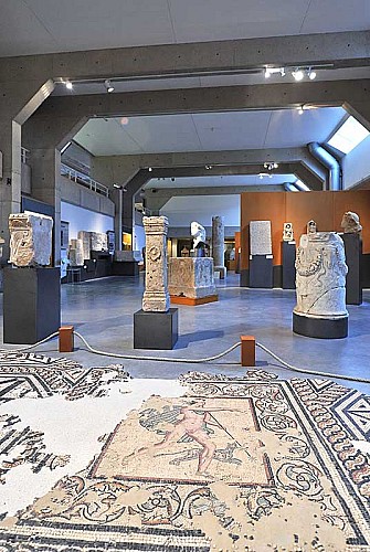 Musée d'Art et d'Histoire de Langres - salle Archeologie
