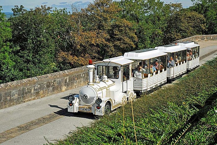 Visite de Langres en petit train touristique