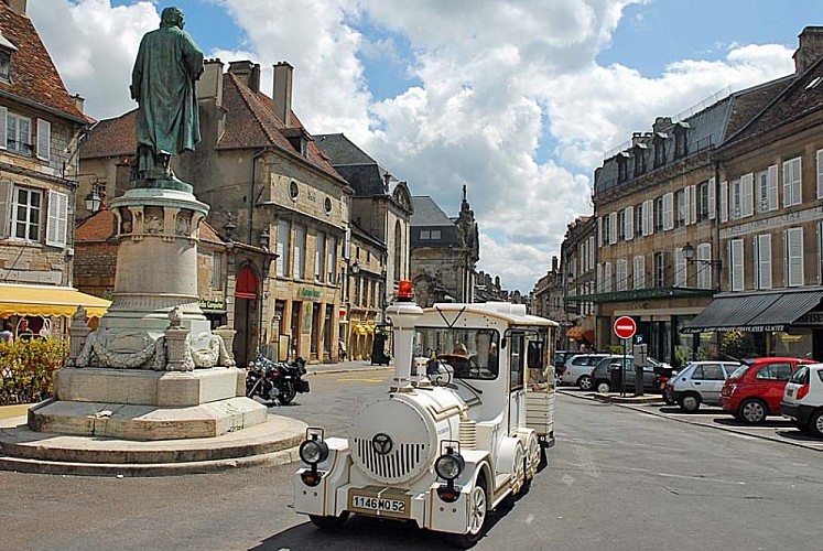 Visite de Langres en petit train touristique