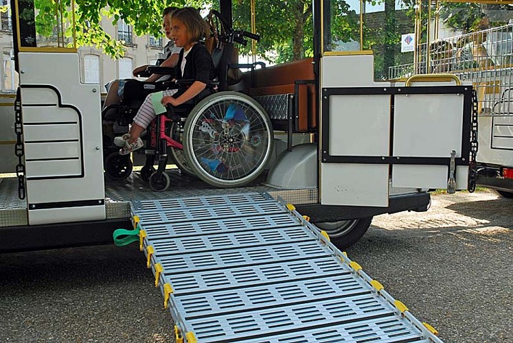 Visite de Langres en petit train touristique - handicape