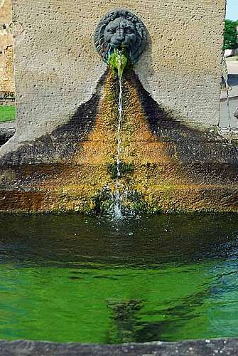 Fontaine de l'obélisque à Montigny-le-Roi