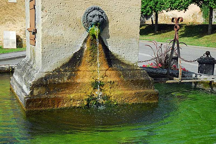 Fontaine de l'obélisque à Montigny-le-Roi