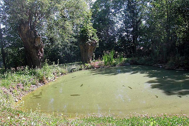 Fontaine du Matelot à Montormentier