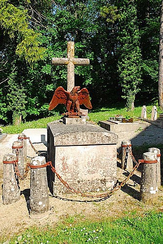Aigle impérial à Montsaugeon