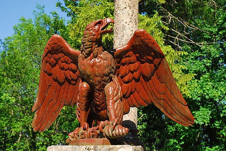 Aigle impérial à Montsaugeon