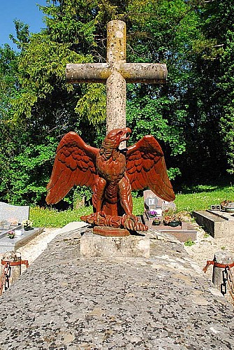 Aigle impérial à Montsaugeon