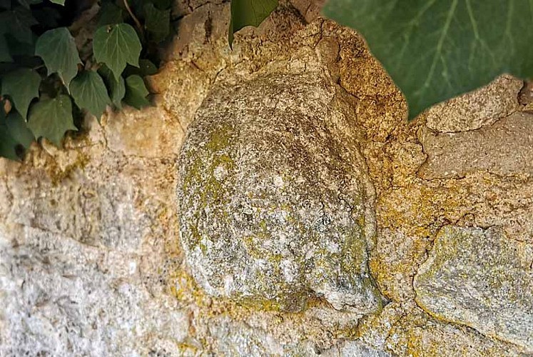 Tête sculpté à Musseau