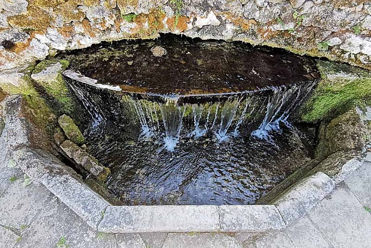 Fontaine du Badin à Noidant-le-Rocheux