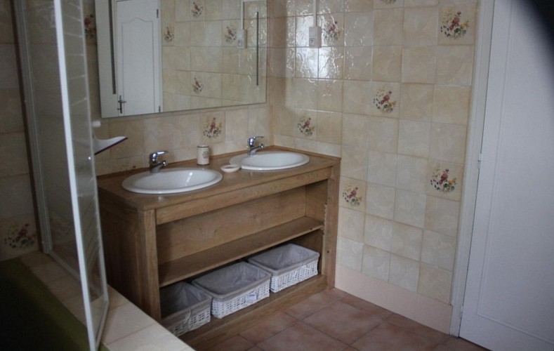 La salle de bain du gîte Au bord de Sèvre (G 764) à Coulon