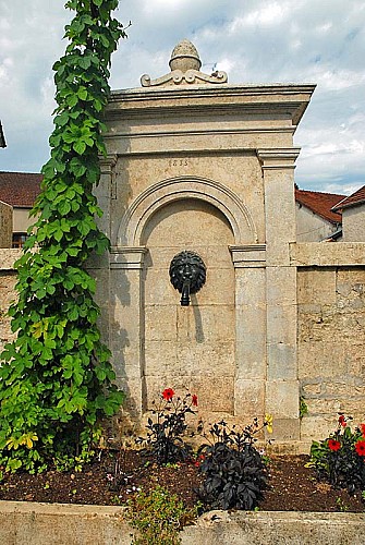 Fontaine rue neuve à Rivière-les-Fosses