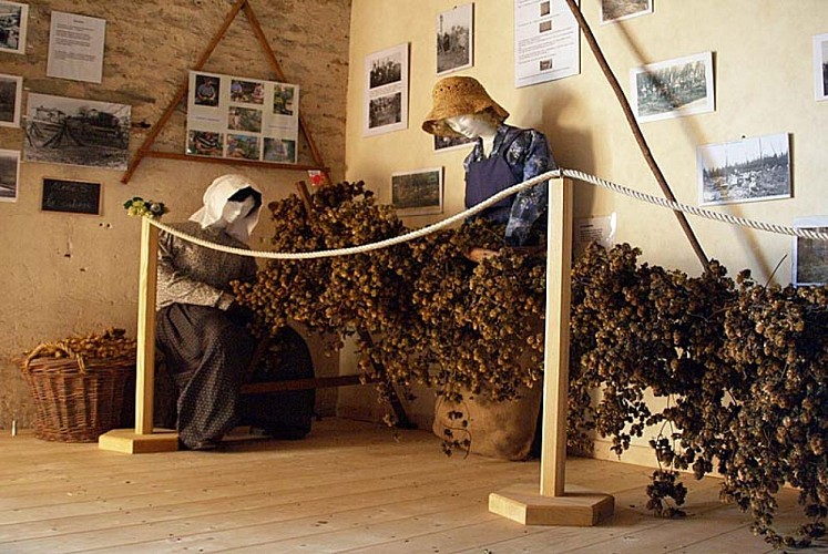 Maison du Houblon à Rivière-les-Fosses