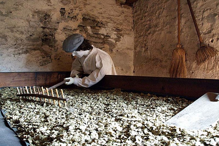 Maison du Houblon à Rivière-les-Fosses