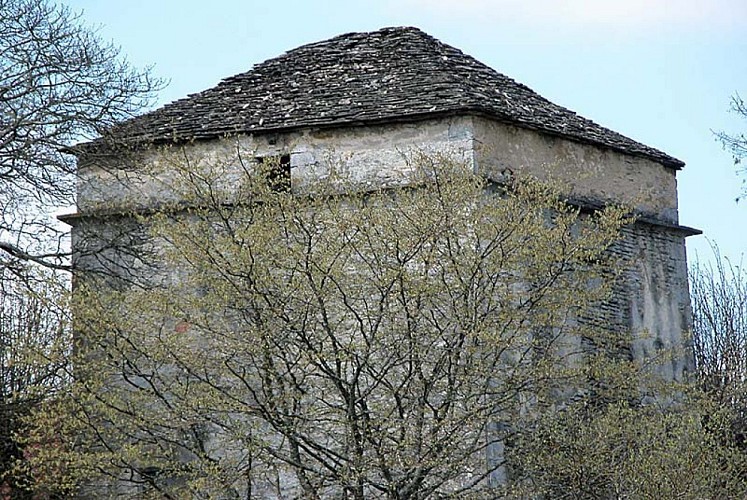 Colombier du château de Rivière-les-Fosses