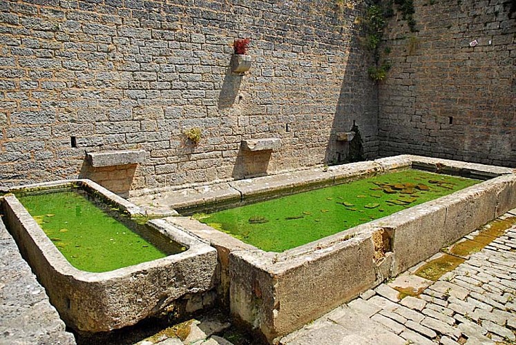Fontaine de Saints-Geosmes