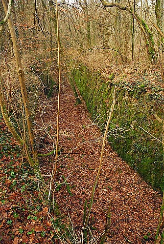 Ouvrage du bois de Champigy à Saints-Geosmes