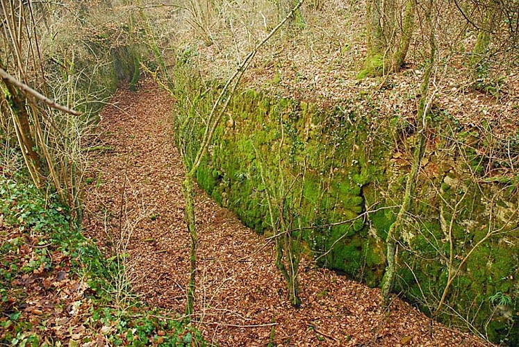 Ouvrage du bois de Champigy à Saints-Geosmes