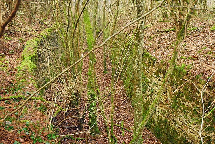 Ouvrage du bois de Champigy à Saints-Geosmes