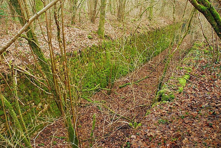 Ouvrage du bois de Champigy à Saints-Geosmes