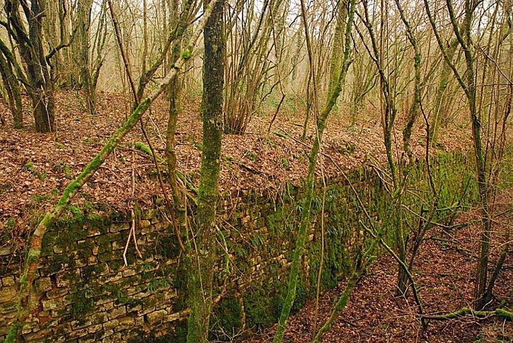 Ouvrage du bois de Champigy à Saints-Geosmes