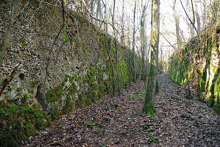 Ouvrage du bois de Champigy à Saints-Geosmes