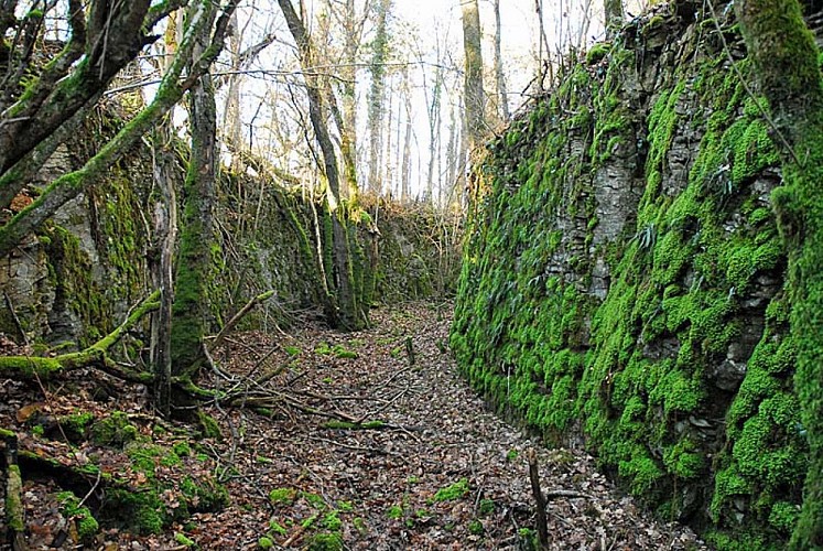 Ouvrage du bois de Champigy à Saints-Geosmes