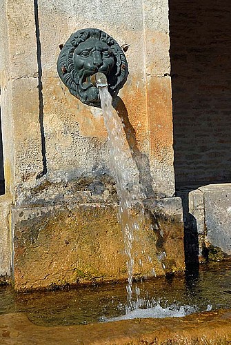 Lavoir de Vaux-sous-Aubigny