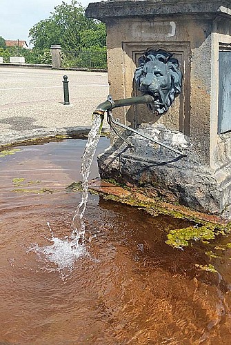 Fontaine de Vaux-sous-Aubigny
