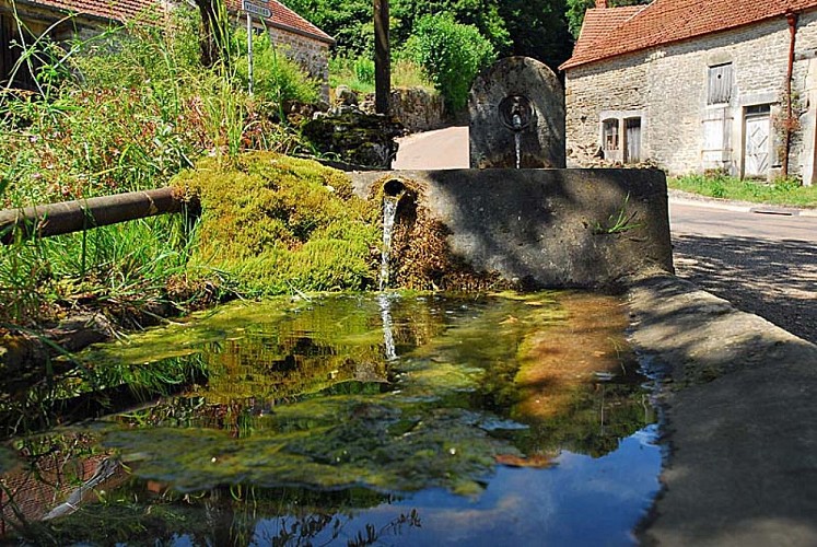 Fontaine pisse-doux à Vieux-Moulins