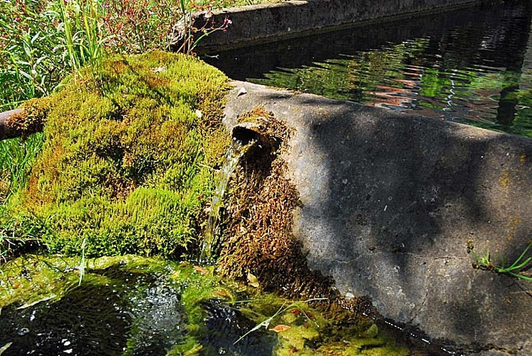 Fontaine pisse-doux à Vieux-Moulins
