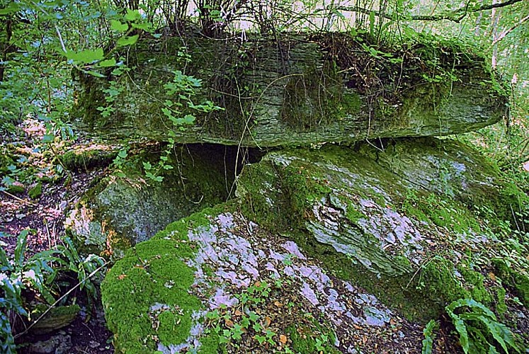 Dolmen de Villiers-les-Aprey