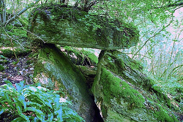 Dolmen de Villiers-les-Aprey