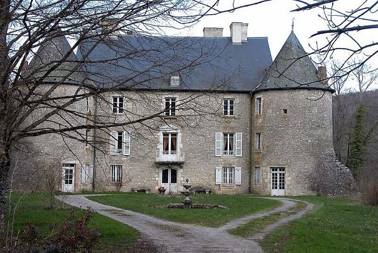 Château de Vivey