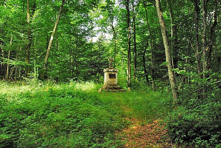 Croix au loup à Vivey