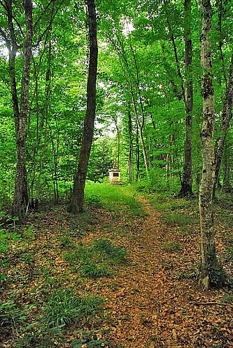 Croix au loup à Vivey