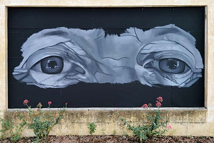 Les yeux de Laurette à Villegusien