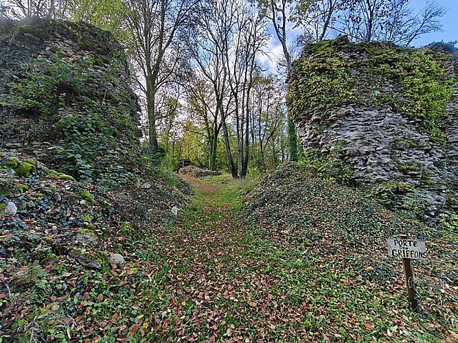 Chateau de Lafauche - porte des Griffons