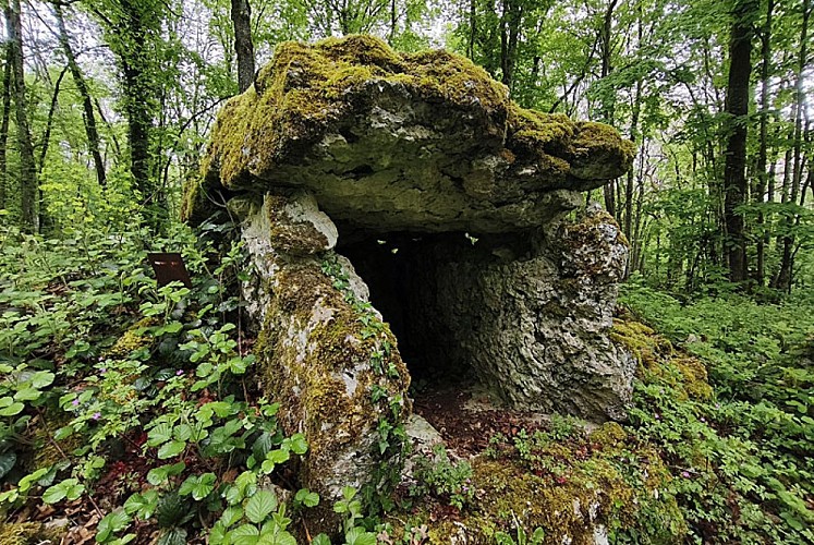 Dolmen du site néolithique Fort Bevaux
