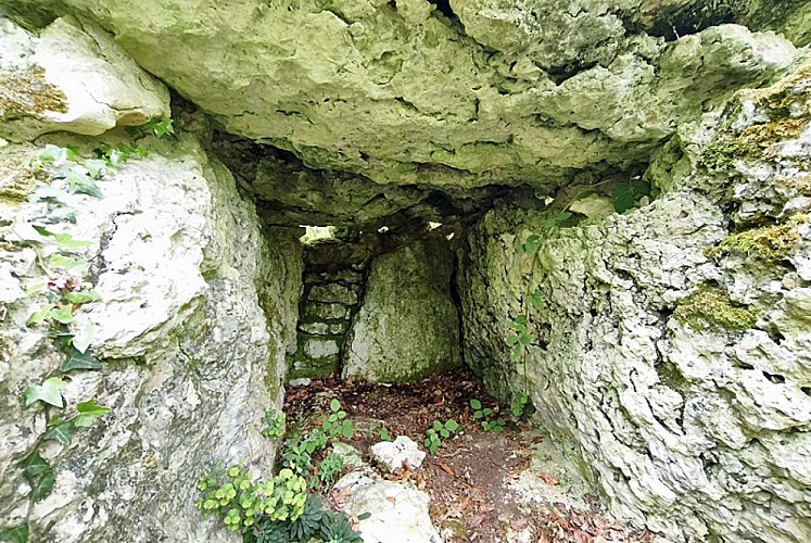 Dolmen du site néolithique Fort Bevaux