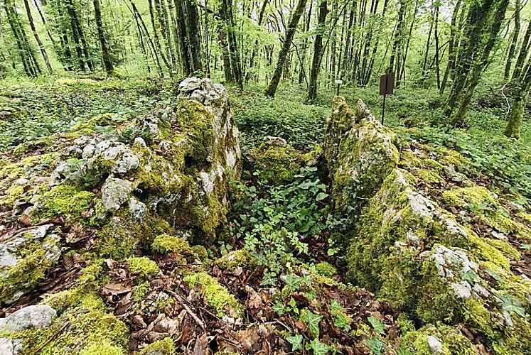 Coffre du site néolithique Fort Bevaux