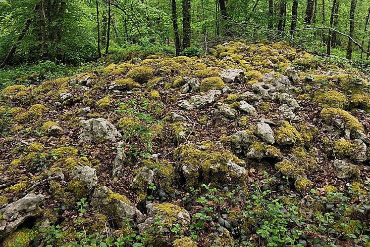 Tumuli du site néolithique Fort Bevaux
