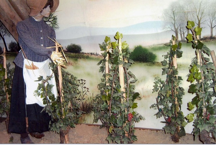 champagne 52 voisey decouvertes musee historique 01 mdt52._5