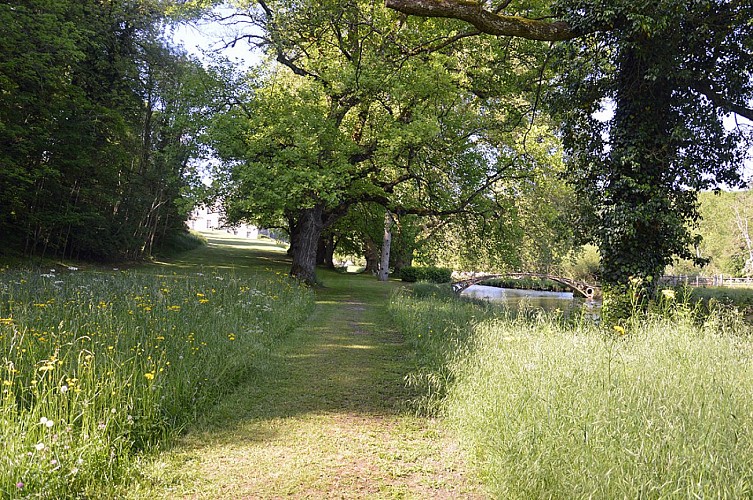Château de Cirey - le Parc
