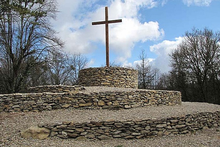 Escargot de Roocourt-la-Cote