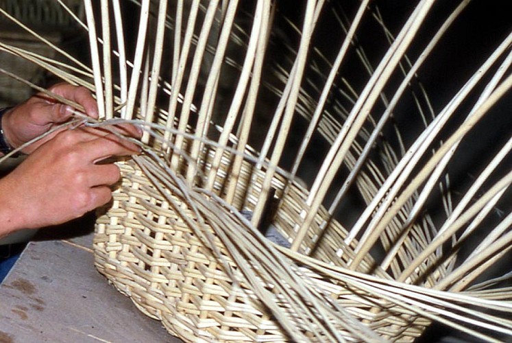 Vannerie de Fayl-Billot