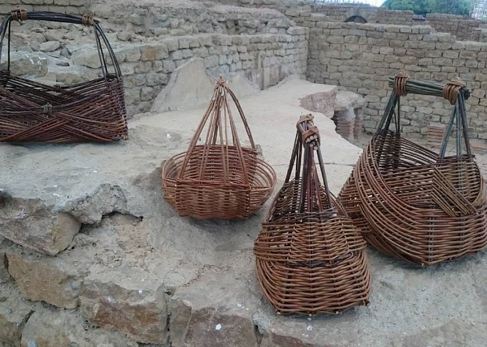 5. zarzos_virginie_duprez