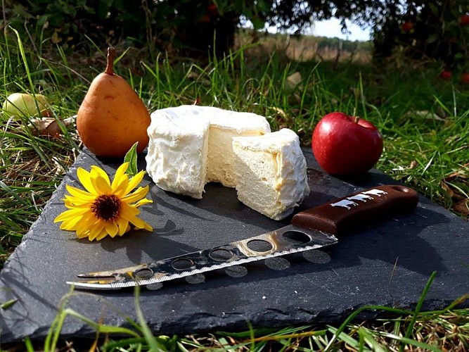 Ferme d'Alips-1-Lac du Der