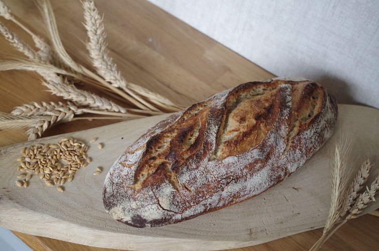 Aux Pains du Der - Pain