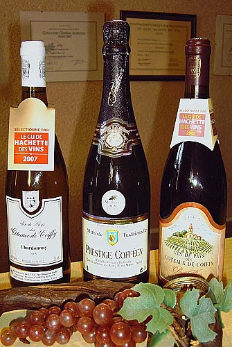 Domaine Camus Renaut à Coiffy