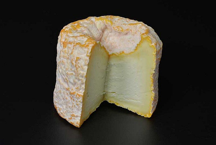 AOP Fromage de Langres - Fromagerie Remillet