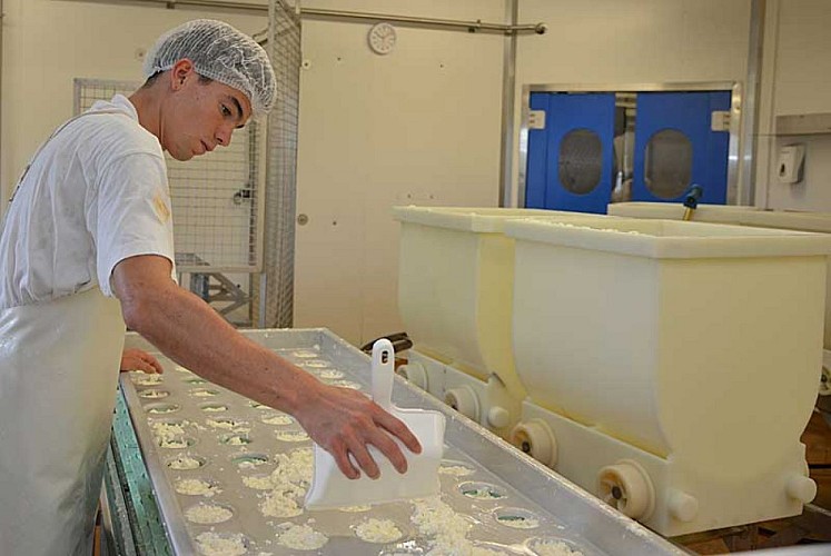  Fromage de Langres - Fromagerie Remillet